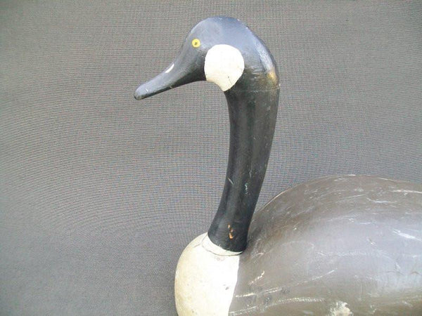 Canada Goose, Michigan.  (#1690)