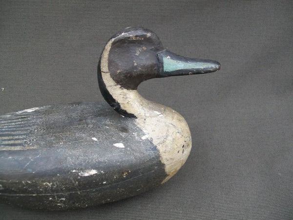 Illinois River Wilcoxen Pintail Drake with weight