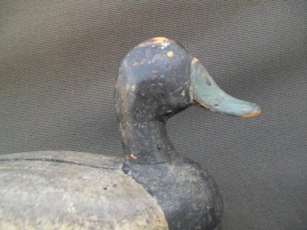 Illinois River Blue Bill with weight