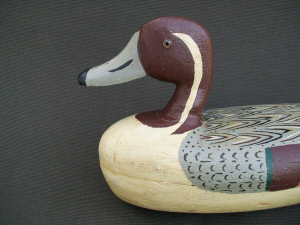 Illinois River Fred Mott Pintail