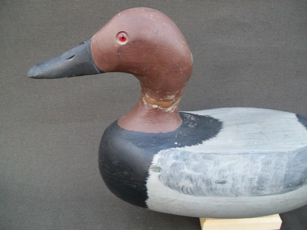 Lester Carrigan Canvasback Pair