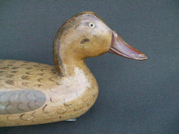 Robert Elliston Mallard Hen with weight