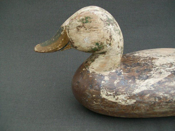 Henry Taubert Sr. Working Mallard Hen Pekin Illinois