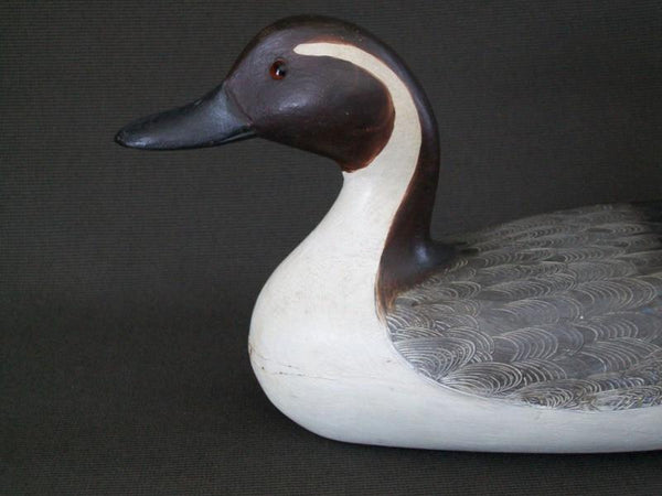 Robert Weeks Illinois River Pintail