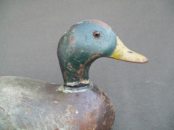 Oversized Pratt Mallard Drake
