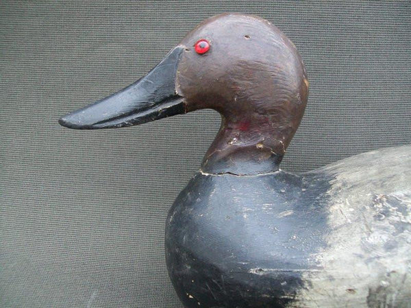 Vintage Wisconsin Canvasback Drake with Weights