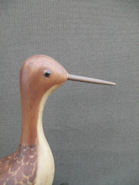 Illinois River Fred Destri Shorebird