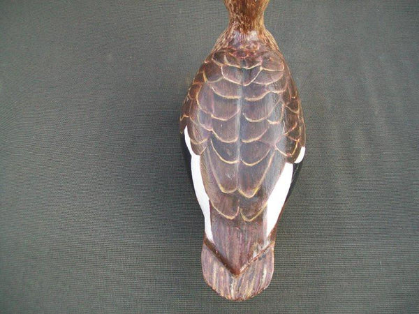 Preening hollow Spotbill duck