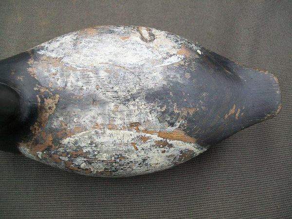 Illinois River Blue Bill with Weight