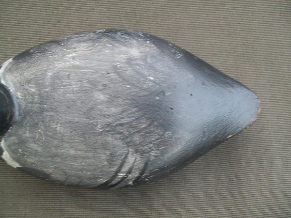 Elliston Blue Bill Original Elliston Weight