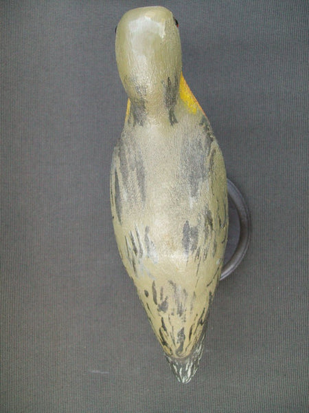 Herters Passenger Pigeon