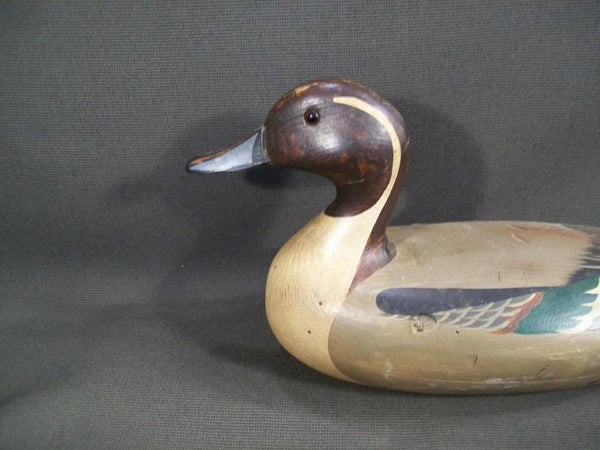 T.J. Hooker Pintail