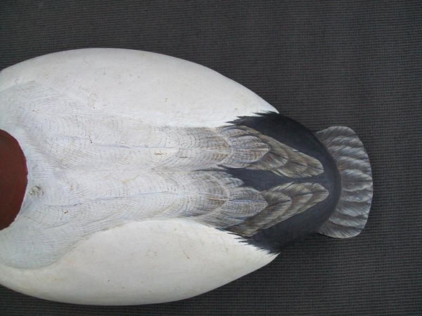 Gary Lynn Canvasback Drake