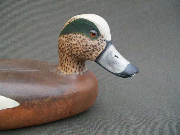 Wayne Meyer Widgeon