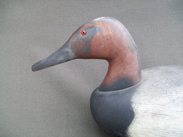 Decoys Unlimited Canvasback Drake with Keel