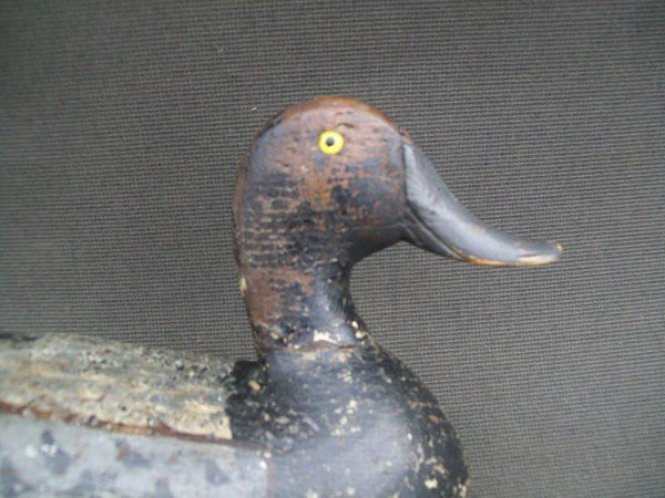 Vintage Illinois River Blue Bill