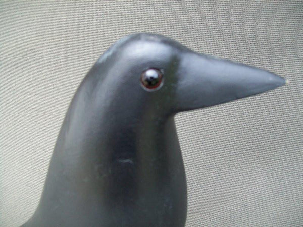 Hadden Perdew Crow Stamped