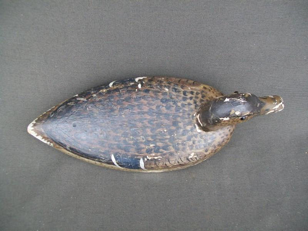 Unknown Mallard Hen Millie Graves Paint