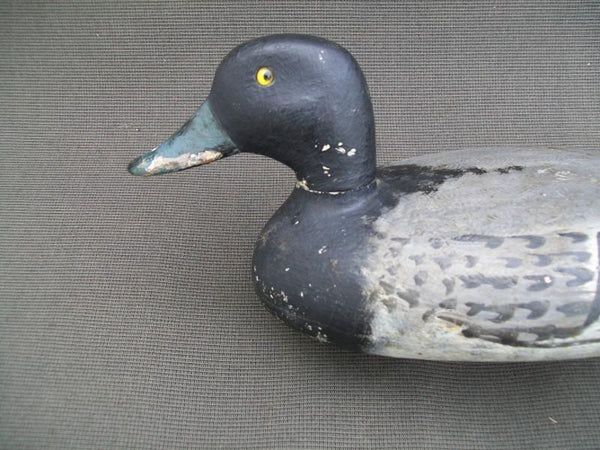 Schoenheider Sr. Bluebill with Chessman Paint
