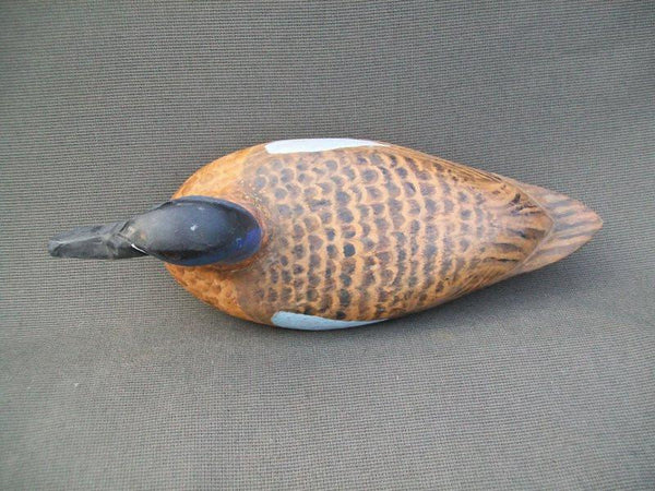 Elliston Style Blue Wing Teal