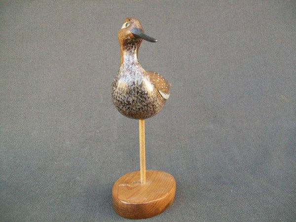 Yellow Legs Shorebird by Paul Lambrecht