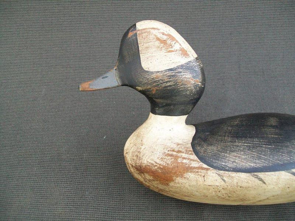 TJ Hooker Bufflehead