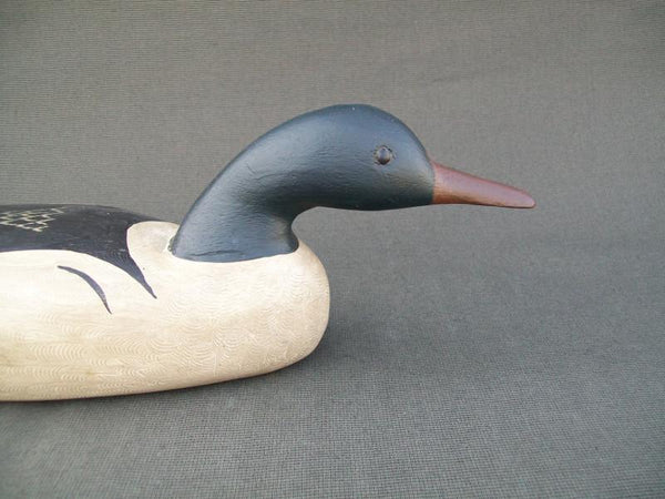 Charlie Moore Swimming Merganser