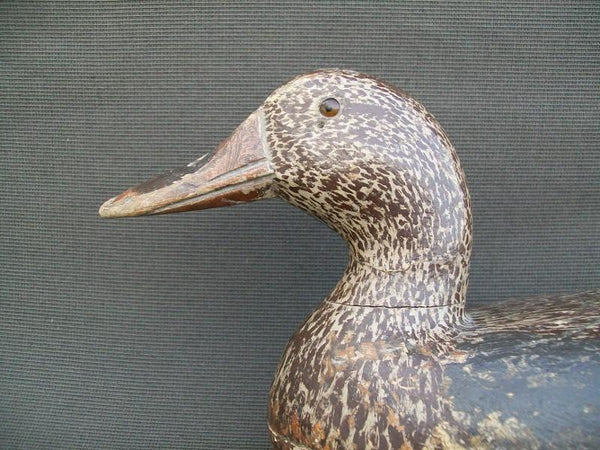 Henry Holmes Mallard Hen repainted by Julius Busto with weight