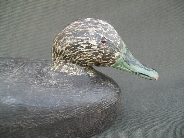 Canada Black Unknown Carver Raised Wings Solid