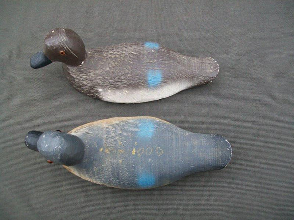 Animal Trap Blue Wing Teal Pair Stamped Excellent Condition