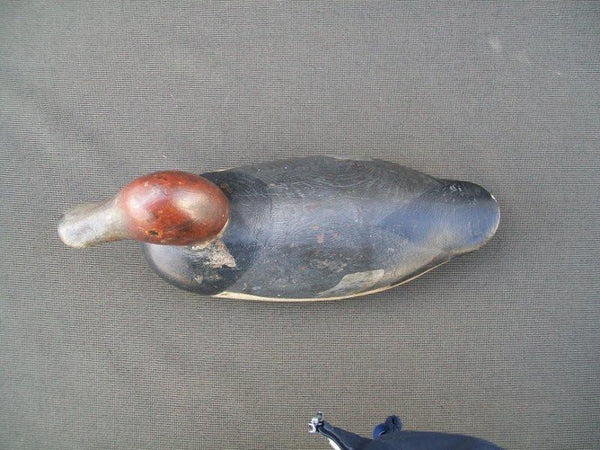 Mason Painted Eye Redhead