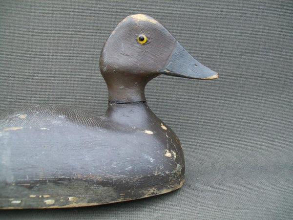 Canadian Golden Eye Hen Original Paint