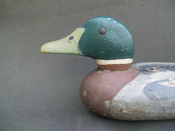 Illinois River Mallard Drake possibly early Mott