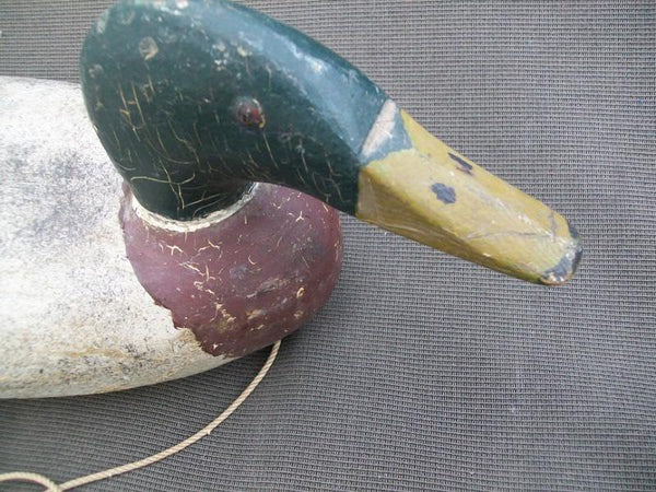 Gisler Weber Mallard Drake