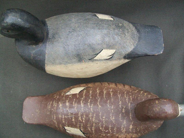 R.W. Schaap Blue Bill Pair