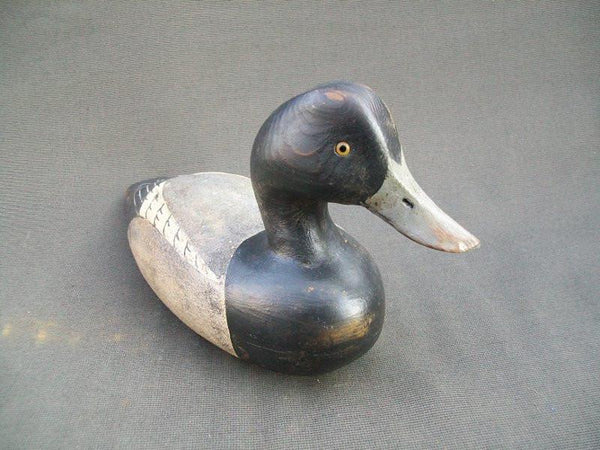 Ward Brothers Style Hollow Bluebill