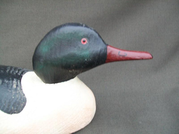 Rare Herters 1893 Series Common Merganser Stamped