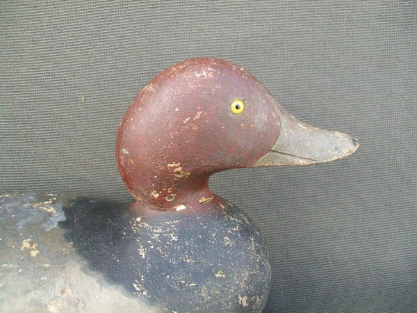 Mason Redhead Original Paint Challenge Grade