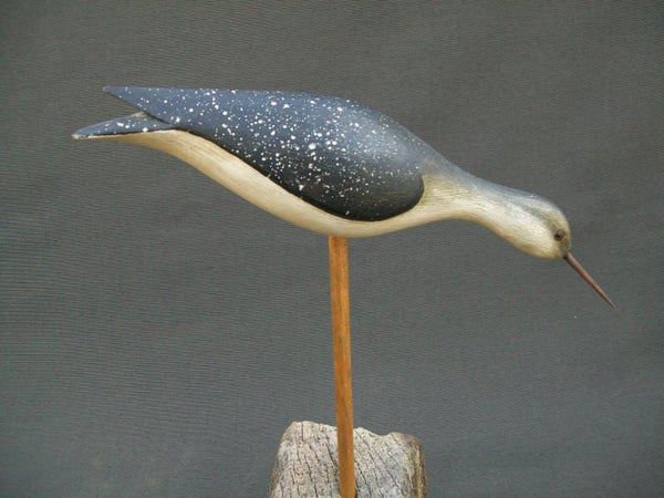 Jerry Siloski Feeding Shorebird - Decatur, Illinois