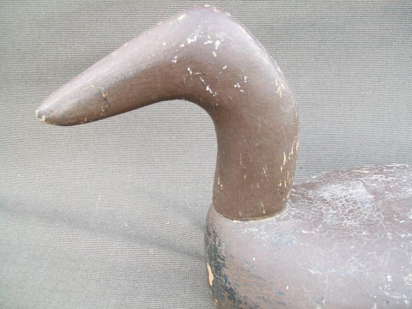 Oversized Minnesota Canvasback Hen