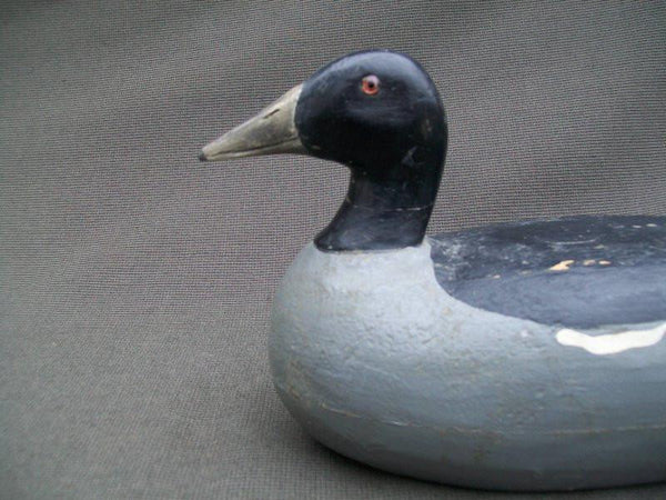 Charles Schoenheider, Sr. Coot Circa 1920's