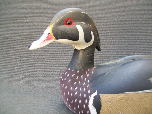 Ken Harris Wood Duck slightly turned head