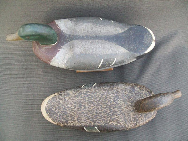 Illinois River Mallard Pair