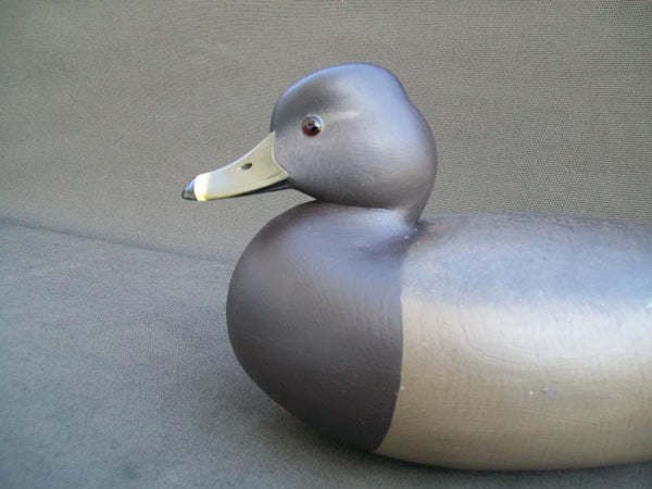 Ringneck Hen by Rick Brown