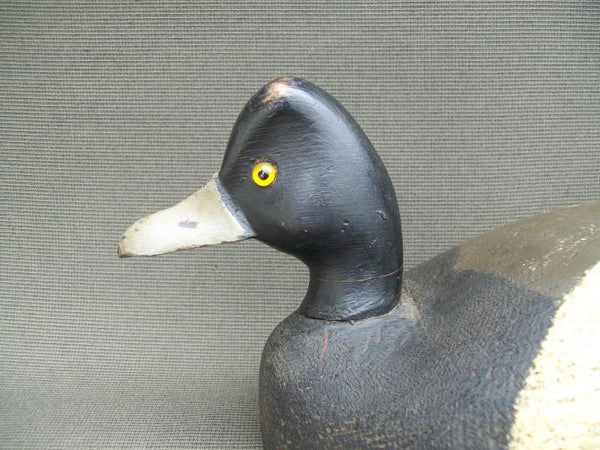 Robert Viener Blue Bill Drake Circa 1930- Original Paint  (#2476)