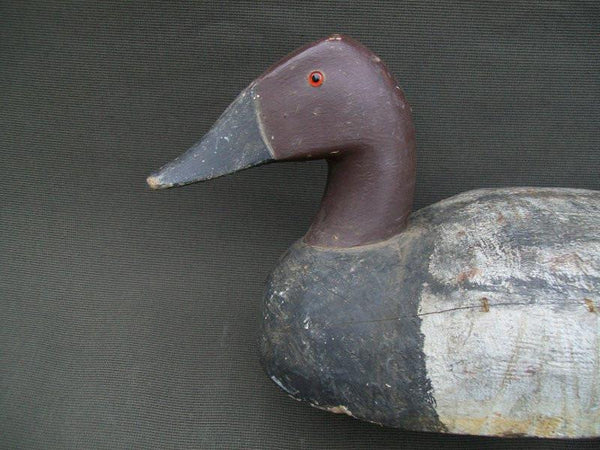 Michigan Canvasback slightly turned head with keel and lead weight