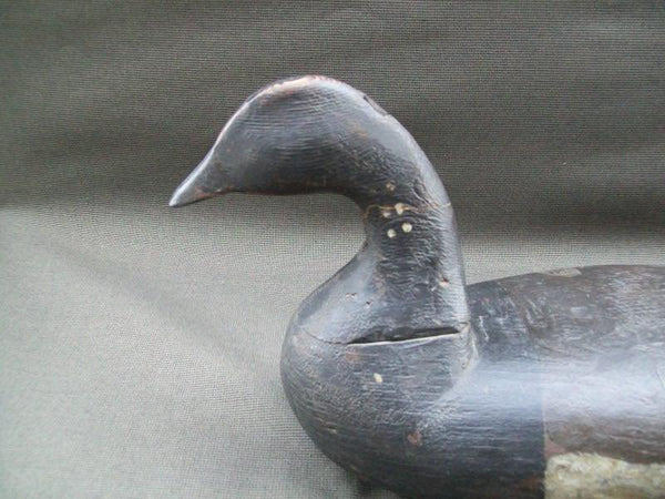 New Jersey Barnaget Bay Brant Circa 1890.  (#1101)