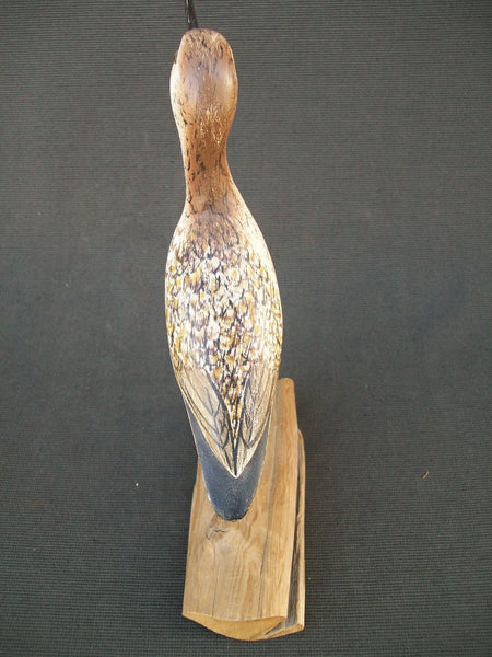 Anderlik Yellow Legs on driftwood stand