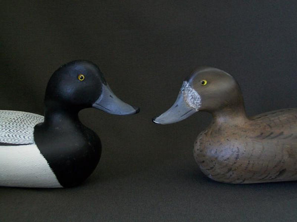 Virgil Lashbrook Blue Bills Pair Signed