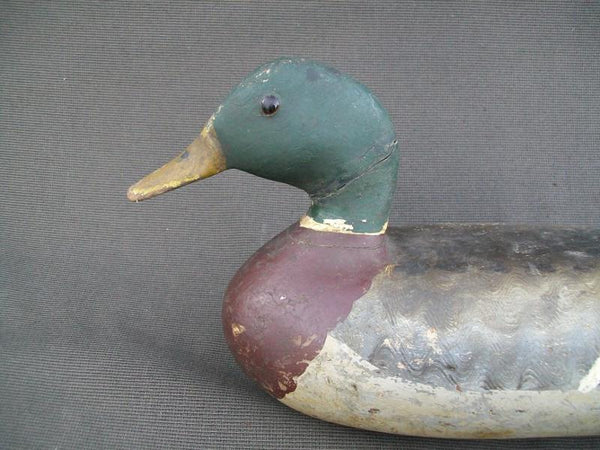 IIllinois River Mallard Lacon area